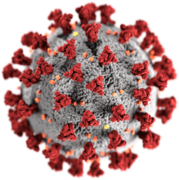CoV Virus
